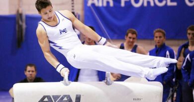 Team USA won pommel horse bronze